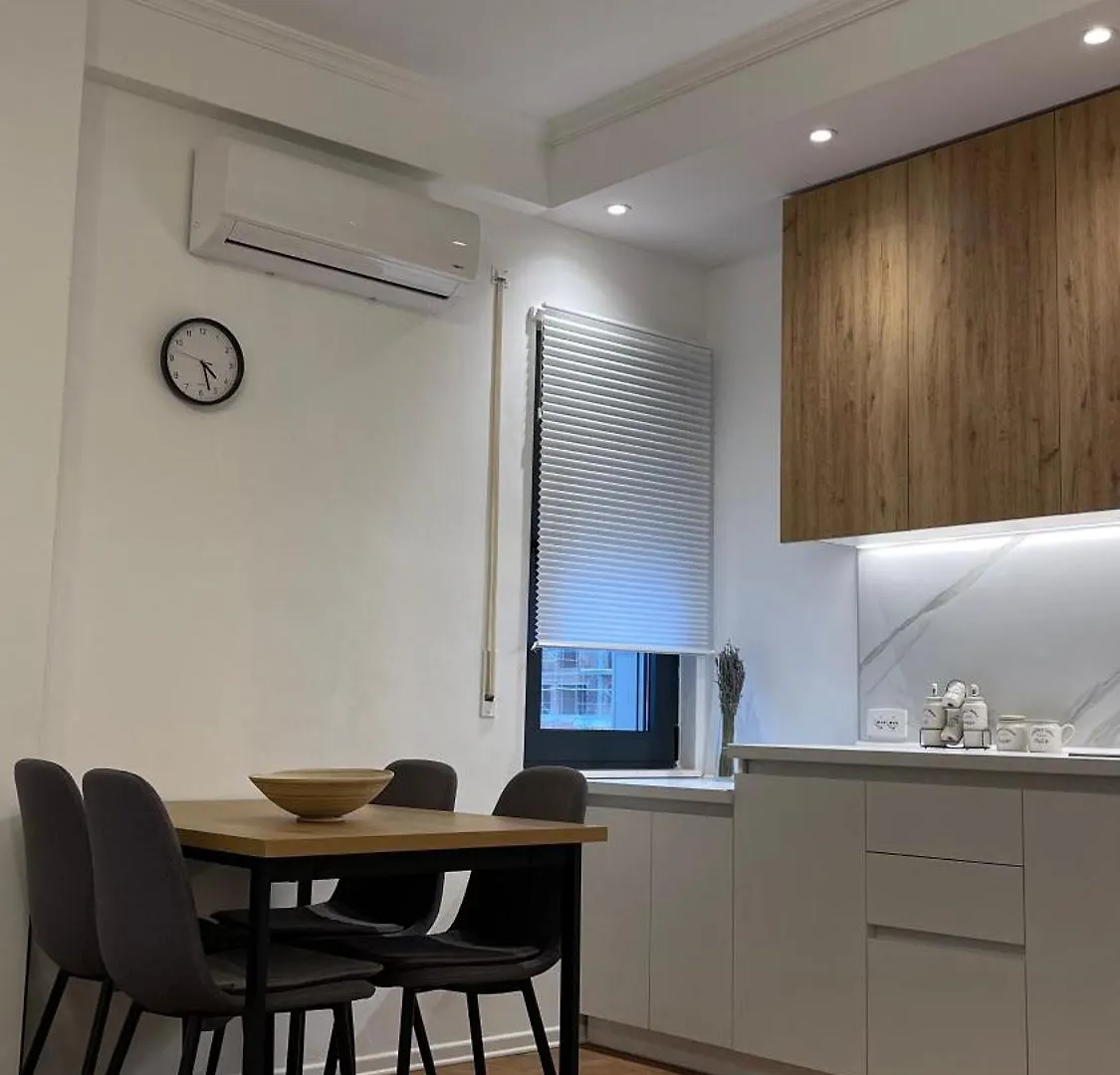 Simplicity Center Apartment Tirana